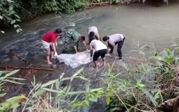 Heboh Kepala Muncul di Sungai Cimunjul Ciambar, Ternyata Jenazah Pria yang Hilang