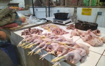 Harga Ayam Potong Di Kota Sukabumi Merangkak Naik, Gegara MBG?