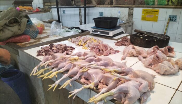 Harga Ayam Potong Di Kota Sukabumi Merangkak Naik, Gegara MBG?