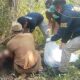 Kerangka Manusia Misterius di Sagaranten Sukabumi, Polisi Temukan Sejumlah Barang Bukti