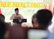 Amran: Lima Bendungan Baru Berpotensi Tambah 1 Juta Ton Beras