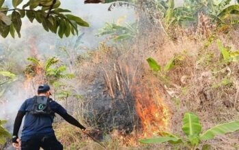 Kebakaran Lahan Dekat Gunung Jayanti Palabuhanratu, Petugas Berjibaku di Medan Terjal