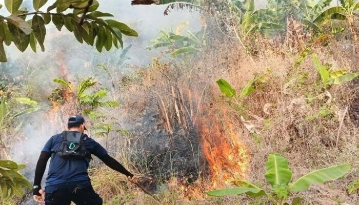 Kebakaran Lahan Dekat Gunung Jayanti Palabuhanratu, Petugas Berjibaku di Medan Terjal