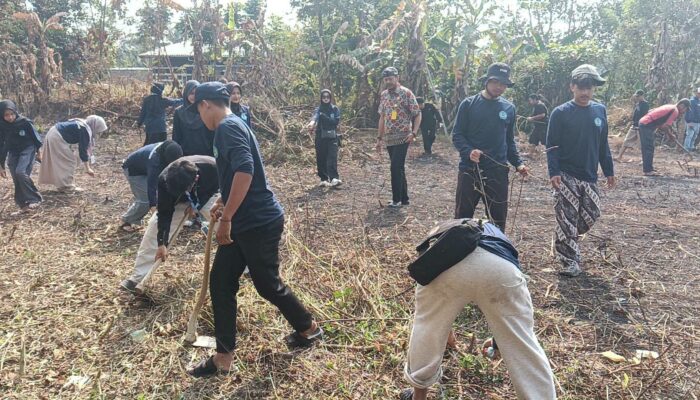 Lapangan Cisuru Disulap Jadi Pusat Perayaan HUT RI, Mahasiswa KKM dan Warga Satukan Tenaga