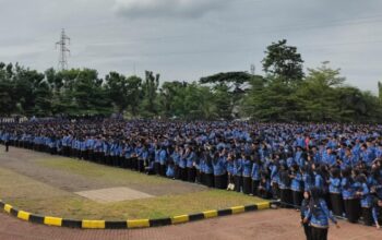 Pemangkasan TKD Tekan Fiskal Daerah, Ratusan Pemda Terancam Kesulitan Bayar Gaji PPPK