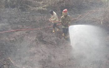 Kebakaran Lahan di Ciracap Berhasil Ditangani Damkar Kabupaten Sukabumi