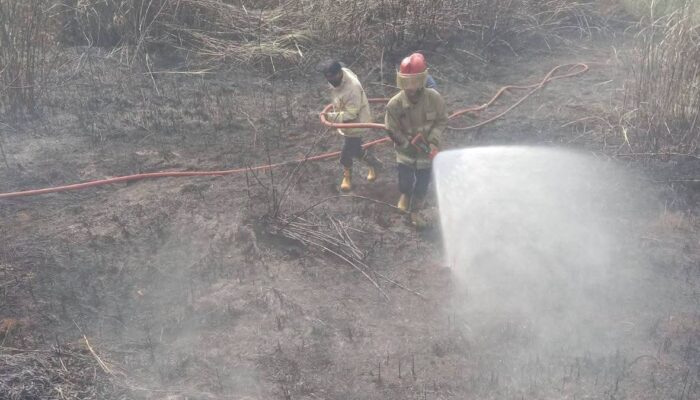 Kebakaran Lahan di Ciracap Berhasil Ditangani Damkar Kabupaten Sukabumi