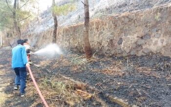 Bakar Sisa Tebangan Pohon, Lahan Kosong di Perumahan Balandongan Baros Sukabumi Terbakar