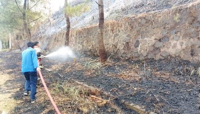 Bakar Sisa Tebangan Pohon, Lahan Kosong di Perumahan Balandongan Baros Sukabumi Terbakar