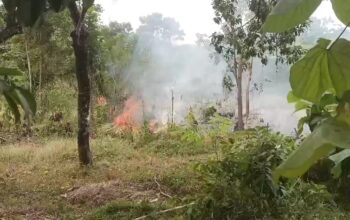 3.000 Meter Persegi Lahan Terbakar di Karangpapak Cisolok, Damkar dan Warga Padamkan Api