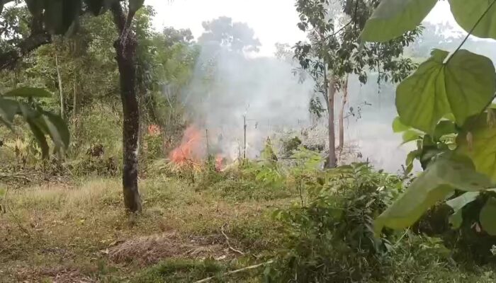 3.000 Meter Persegi Lahan Terbakar di Karangpapak Cisolok, Damkar dan Warga Padamkan Api