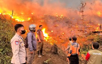 Kebakaran Hanguskan 18 Hektare Lahan Perhutani di Jampangtengah Sukabumi