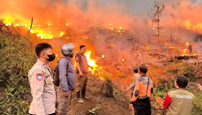 Kebakaran Hanguskan 18 Hektare Lahan Perhutani di Jampangtengah Sukabumi