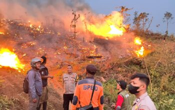 Karhutla di Sukabumi Sebulan Terakhir, Sedikitnya 30 Hektare Lahan Terbakar