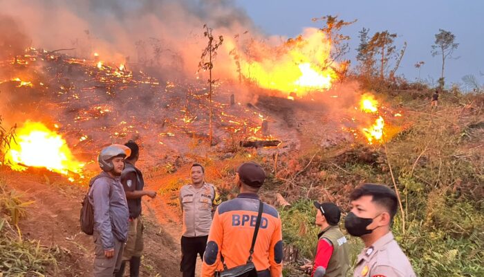 Karhutla di Sukabumi Sebulan Terakhir, Sedikitnya 30 Hektare Lahan Terbakar