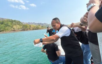 Polres Sukabumi Lepas 59.980 Benih Lobster ke Laut Sangrawayang