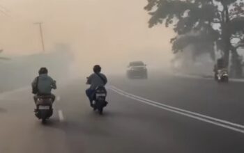 Lebih dari 3 Juta Warga Terpapar Asap Karhutla, Kasus ISPA Naik 78 Persen