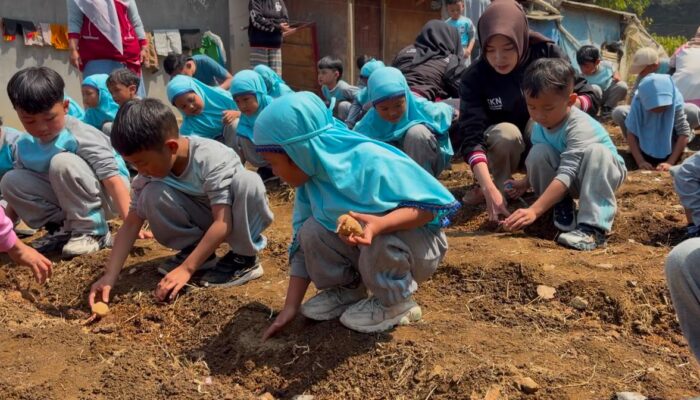Belajar Sambil Bertani, Anak-anak TA Aisyiyah Muara Hati Diajak Tanam Kentang