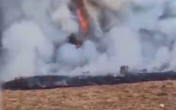 Alun-alun Suryakencana Terbakar, Pendakian Gunung Gede Pangrango Ditutup Sementara