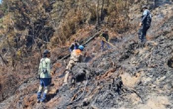 Asap Kembali Muncul di Kawah Wadon Gunung Gede Pangrango, 35 Personel Dikerahkan