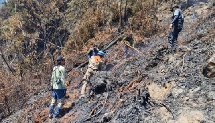 Asap Kembali Muncul di Kawah Wadon Gunung Gede Pangrango, 35 Personel Dikerahkan