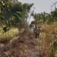Lahan Alang-alang Terbakar di Cicantayan Sukabumi, Damkar Cegah Api Merambat