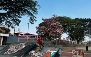Lapang Merdeka Kota Sukabumi Bak Seperti di Negeri Sakura Jepang
