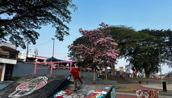Lapang Merdeka Kota Sukabumi Bak Seperti di Negeri Sakura Jepang