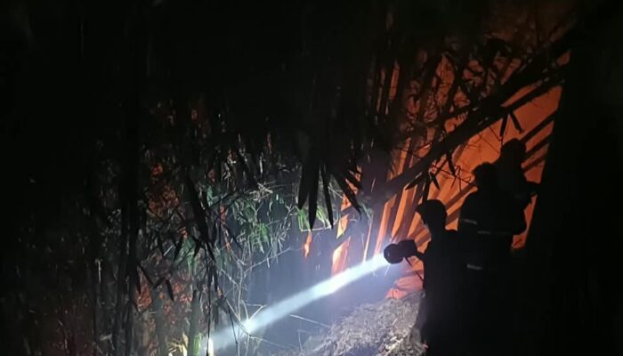Lahan Belakang SMAN 2 Sukabumi Terbakar, Tiga Unit Mobil Damkar Dikerahkan