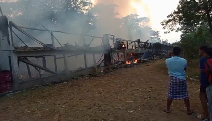 Kandang Ayam Dua Lantai di Waluran Ludes Terbakar, Diduga Dipicu Korsleting Listrik