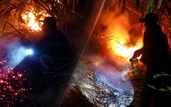 Kebakaran Lahap 4 Hektare Perkebunan di Ciracap, Warga Padamkan Api dengan Pelepah Kelapa