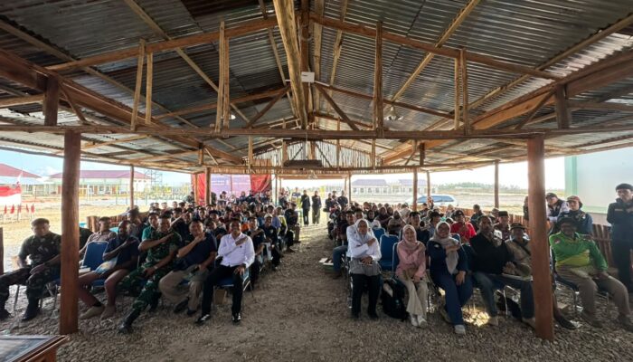 Pengembangan Jagung di Tomage Masih Hadapi Kendala Lahan hingga Pasar