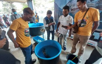 Mini Kontes Nila Pertama di Sukabumi Digelar, Ada Ikan Ukuran 6 Kilogram