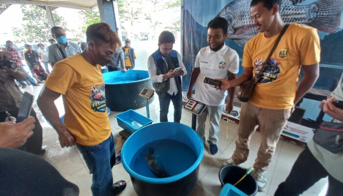 Mini Kontes Nila Pertama di Sukabumi Digelar, Ada Ikan Ukuran 6 Kilogram