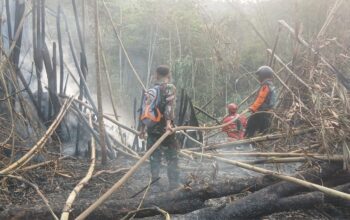 Kebakaran Lahan di Cibadak Sukabumi, Api Merembet ke Dekat Permukiman