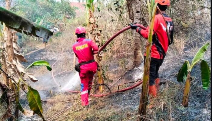 Lahan di Cikundul Kota Sukabumi Terbakar, Petugas Damkar dan BPBD Sigap Padamkan Api