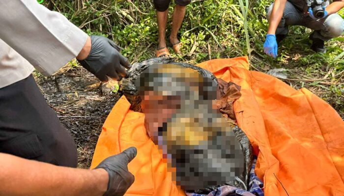 Jasad Pria Tanpa Identitas Ditemukan di Bawah Jembatan Tol Bocimi Ciambar Sukabumi