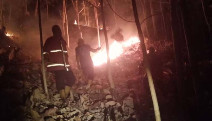 Karhutla di Simpenan Sukabumi Belum Padam, Api Berjarak 1 Km dari Permukiman