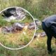 Terikat dan Terbungkus Plastik, Begini Kondisi Jasad Ditemukan di Bawah Tol Bocimi
