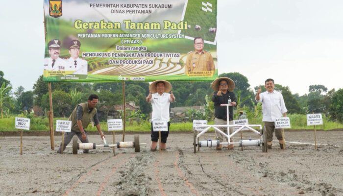 Target Panen 10 Ton per Hektare, Sukabumi Mulai Perluas Pertanian Modern ke 47 Kecamatan