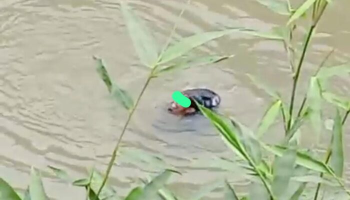 Pria Diduga Curi HP di Masjid Hilang Usai Lompat ke Sungai Cicatih Parungkuda