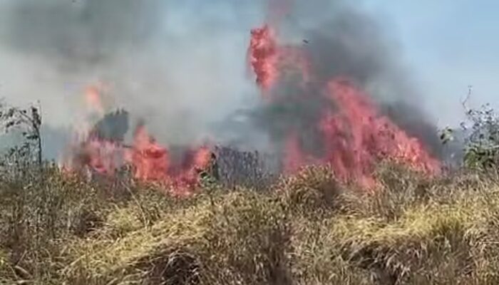 Pembakaran Tak Bertanggung Jawab Picu Kebakaran Lahan di Cibarehong Surade